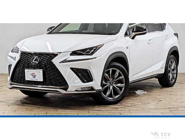 2020 Lexus NX