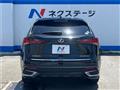 2020 Lexus NX