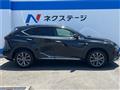 2020 Lexus NX