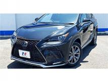 2020 Lexus NX