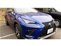 2020 Lexus NX
