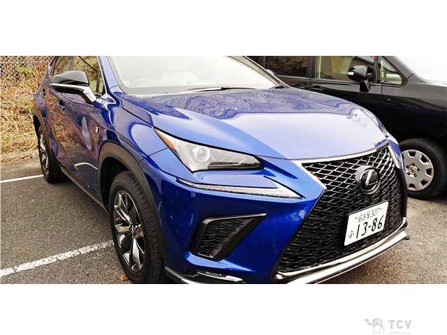 2020 Lexus NX