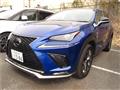 2020 Lexus NX