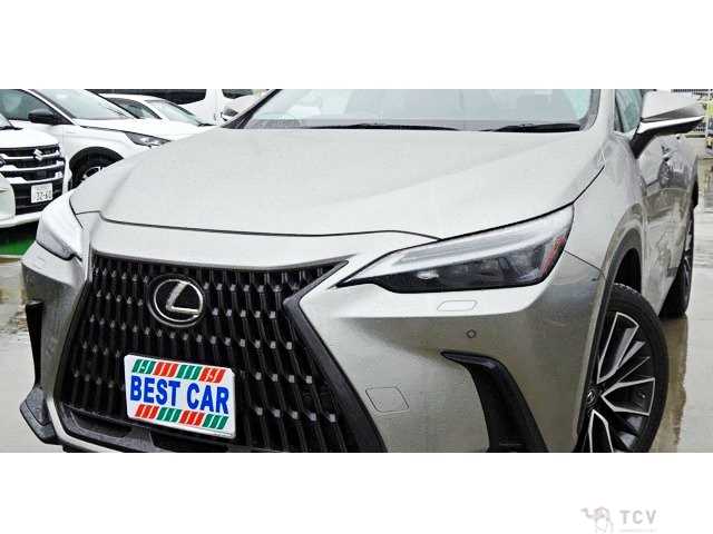 2022 Lexus NX