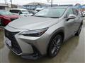 2022 Lexus NX