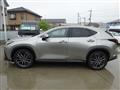 2022 Lexus NX