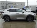 2022 Lexus NX