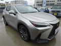 2022 Lexus NX