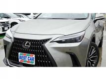 2022 Lexus NX