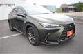 2022 Lexus NX