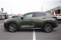 2022 Lexus NX