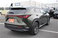 2022 Lexus NX
