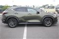 2022 Lexus NX