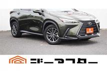 2022 Lexus NX