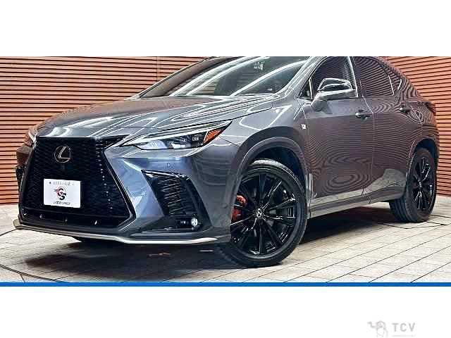 2022 Lexus NX