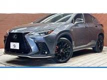 2022 Lexus NX