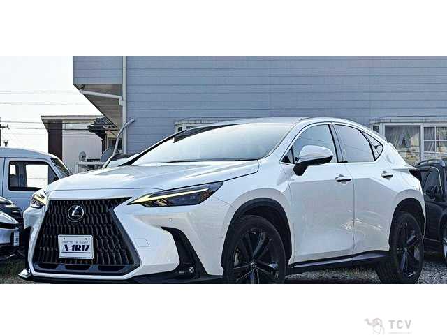 2022 Lexus NX