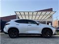 2022 Lexus NX