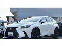 2022 Lexus NX