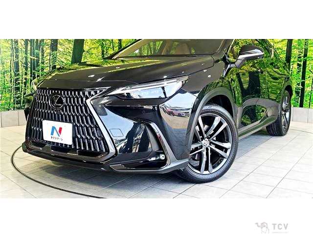 2022 Lexus NX