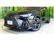 2022 Lexus NX