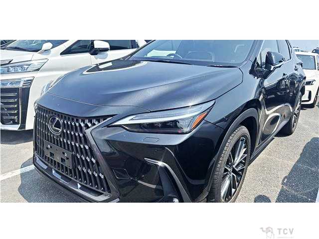 2022 Lexus NX