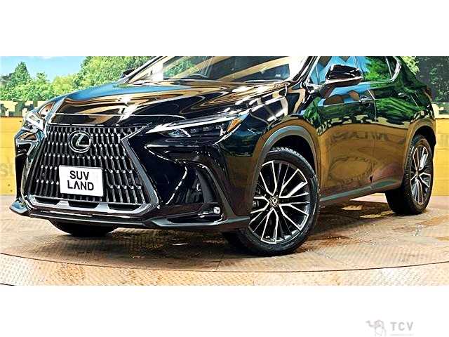 2022 Lexus NX