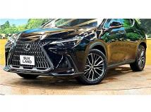 2022 Lexus NX