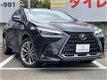 2022 Lexus NX