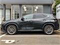 2022 Lexus NX