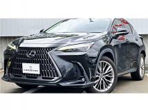 2022 Lexus NX