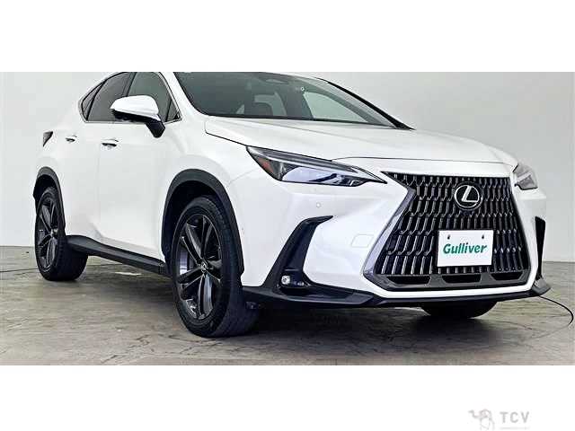 2022 Lexus NX