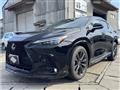 2022 Lexus NX