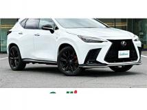 2022 Lexus NX