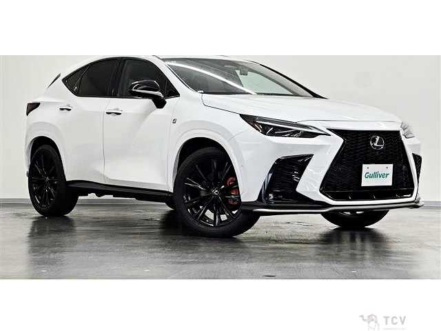 2022 Lexus NX