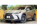 2022 Lexus NX