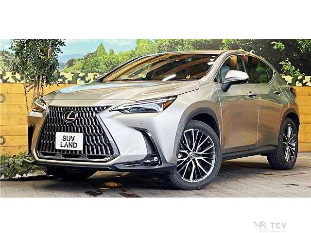 2022 Lexus NX