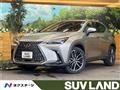 2022 Lexus NX