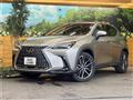 2022 Lexus NX