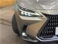 2022 Lexus NX