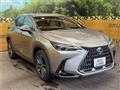 2022 Lexus NX