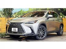 2022 Lexus NX