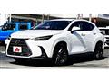 2022 Lexus NX