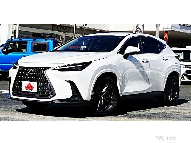 2022 Lexus NX
