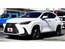 2022 Lexus NX