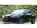 2022 Lexus NX
