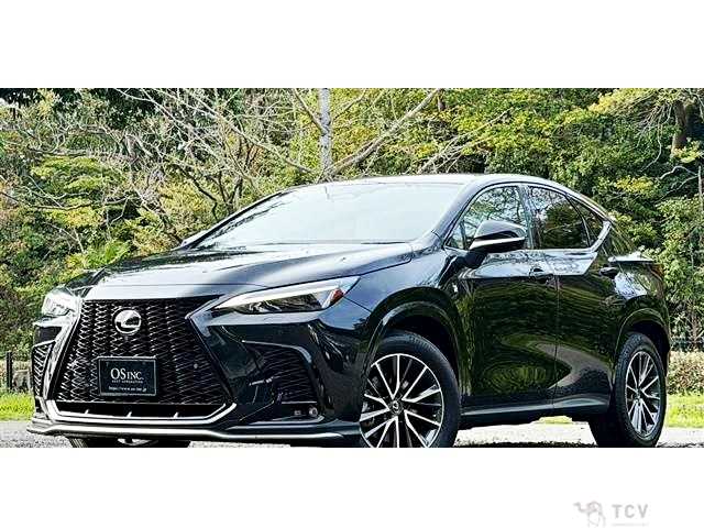 2022 Lexus NX