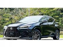 2022 Lexus NX