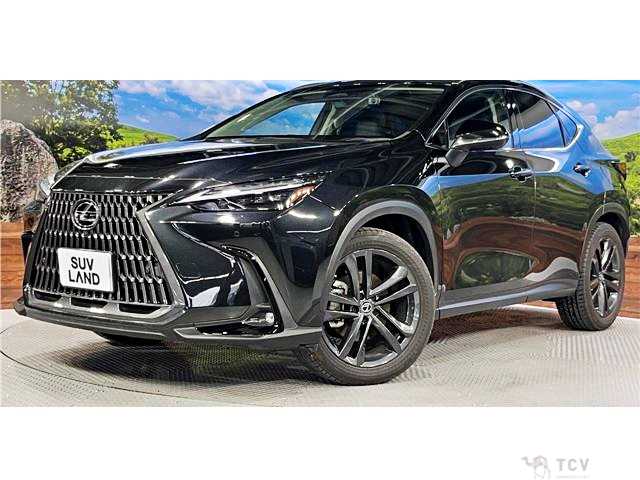 2022 Lexus NX