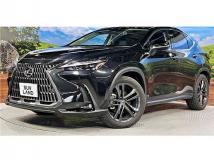 2022 Lexus NX